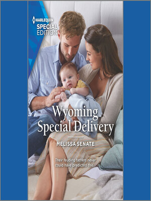 cover image of Wyoming Special Delivery